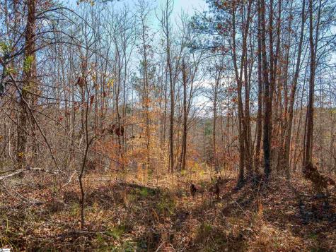 00 Crowe Creek Road Six Mile SC 29682