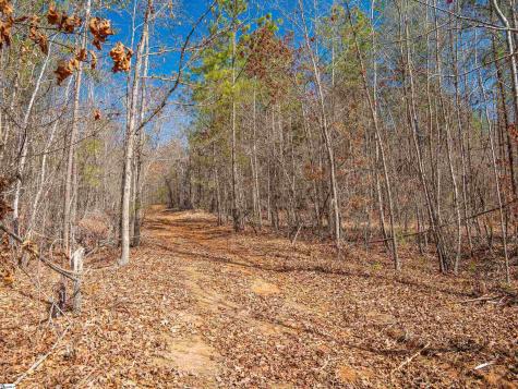00 Crowe Creek Road Six Mile SC 29682