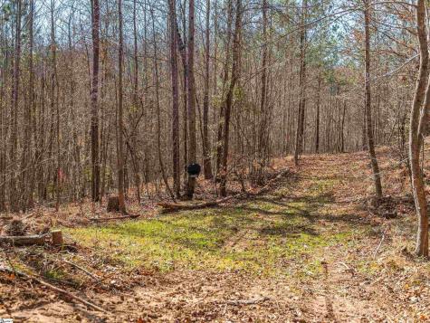 00 Crowe Creek Road Six Mile SC 29682