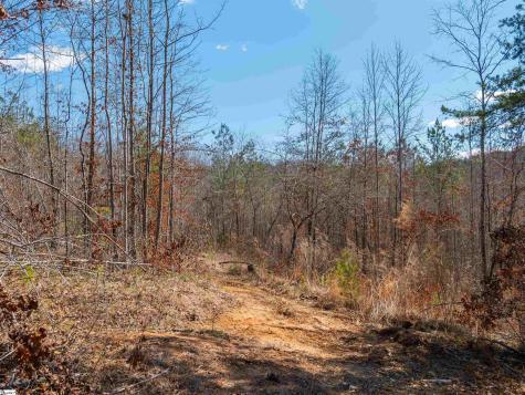 00 Crowe Creek Road Six Mile SC 29682
