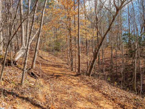 00 Crowe Creek Road Six Mile SC 29682