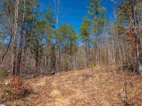 00 Crowe Creek Road Six Mile SC 29682