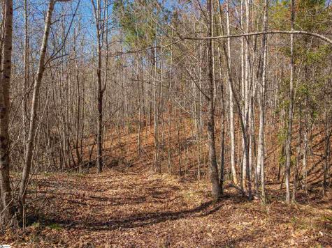 00 Crowe Creek Road Six Mile SC 29682