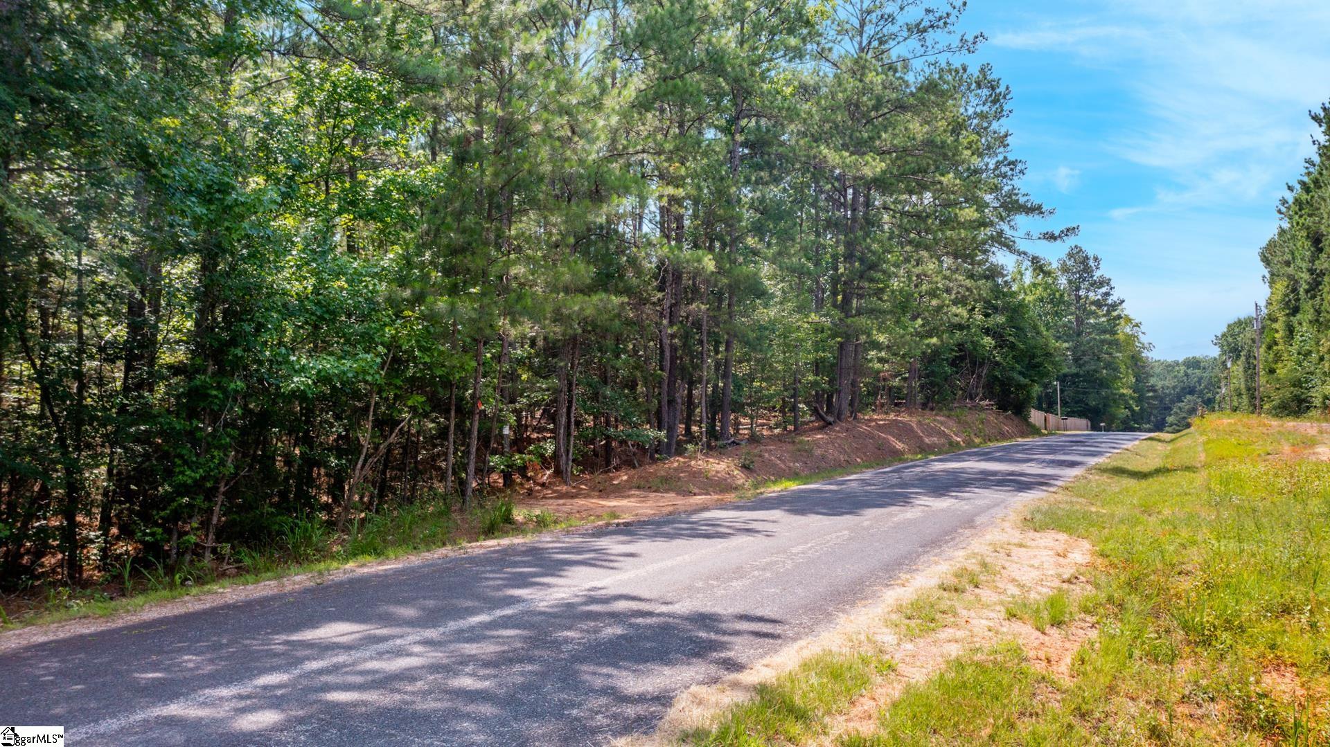0 Stomp Springs Road Clinton SC 29325