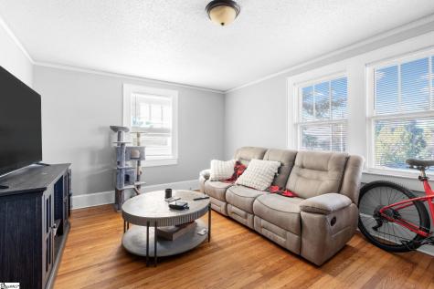 1608 E North Street Greenville SC 29607