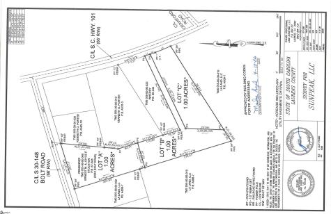 17530 Highway 101 Gray Court SC 29645