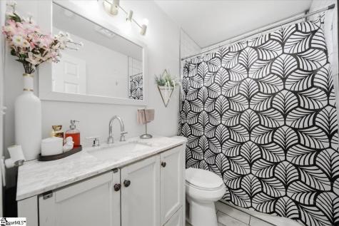 22 Ray Street Greenville SC 29611