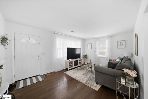 22 Ray Street Greenville SC 29611