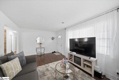 22 Ray Street Greenville SC 29611