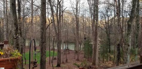 123 Birch River Road Greenville SC 29611