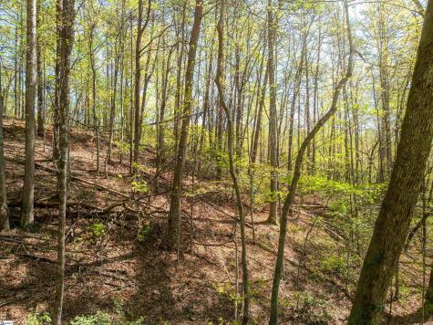 187 Shepherd Springs Drive Cleveland SC 29635