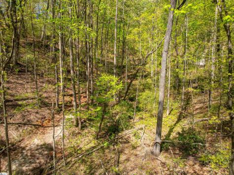 187 Shepherd Springs Drive Cleveland SC 29635