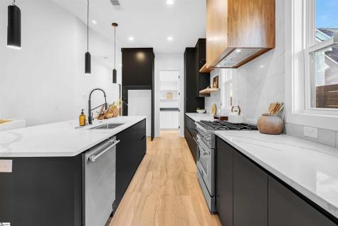 105 David Street Greenville SC 29609