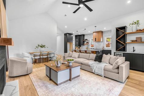 105 David Street Greenville SC 29609