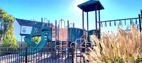 342 Alyssa Landing Drive Fountain Inn SC 29644