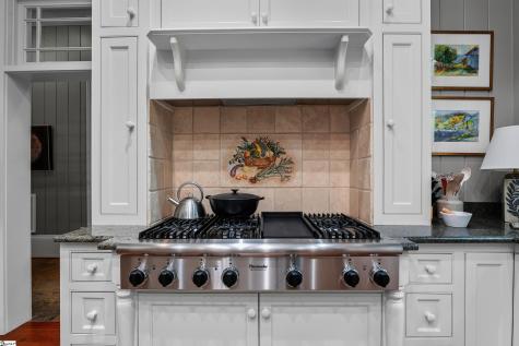 113 Birchbend Cleveland SC 29635