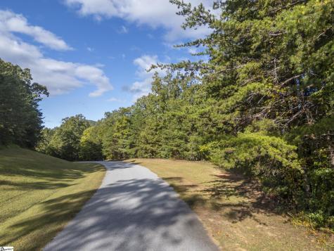 100 Pardo Road Landrum SC 29356