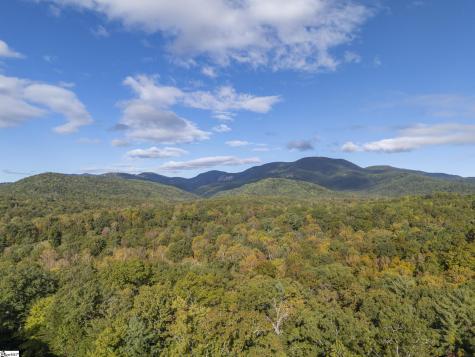 100 Pardo Road Landrum SC 29356