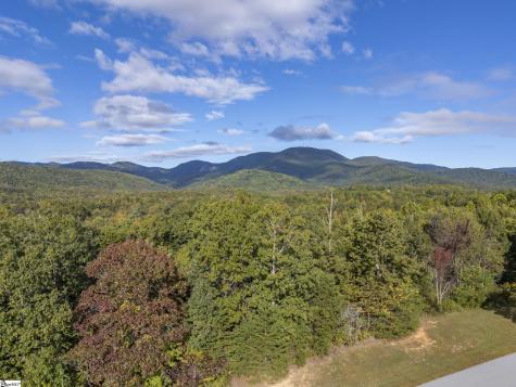100 Pardo Road Landrum SC 29356