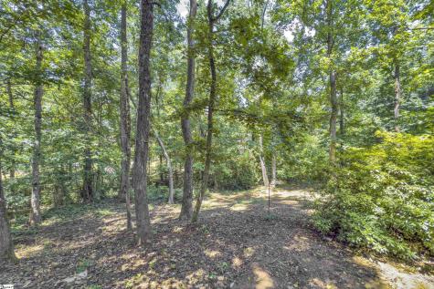 503 Spaulding Lake Drive Greenville SC 29615