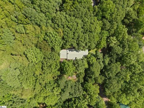 56 Cardinal Circle Tryon NC 28782