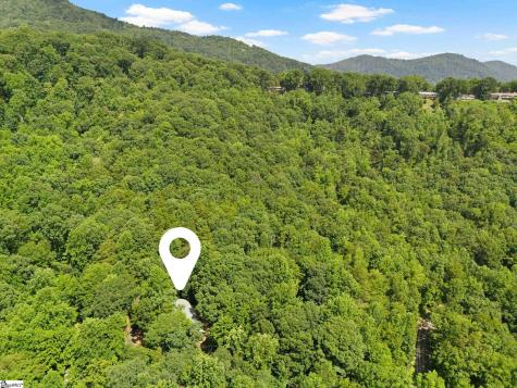 56 Cardinal Circle Tryon NC 28782