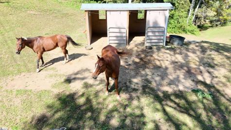525 Silent Acres Road Other NC 28785