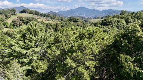 525 Silent Acres Road Other NC 28785