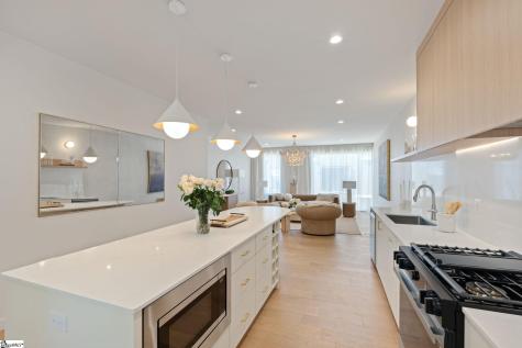 15 Griffin Street Greenville SC 29601