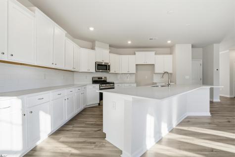 905 Kitson Court Enoree SC 29335
