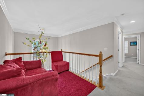 17 Suffolk Downs Way Greenville SC 29615