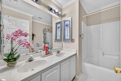 17 Suffolk Downs Way Greenville SC 29615