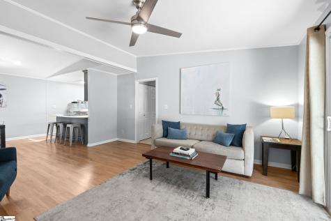 1009 Summit Drive Greenville SC 29609