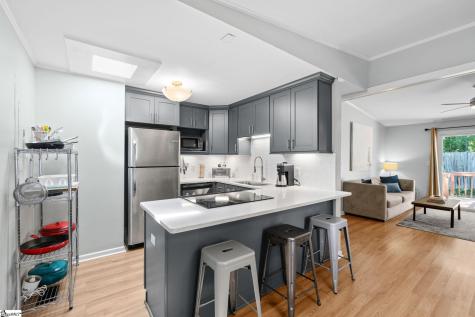 1009 Summit Drive Greenville SC 29609