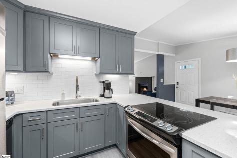 1009 Summit Drive Greenville SC 29609