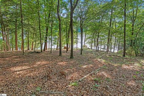 1215 Buck Creek Road Chesnee SC 29323