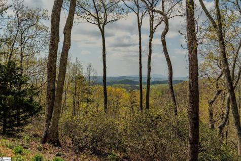 202 Eagle Rock Road Landrum SC 29356