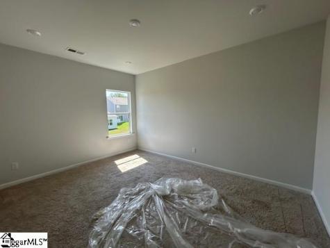 260 Talbert Trail Landrum SC 29356