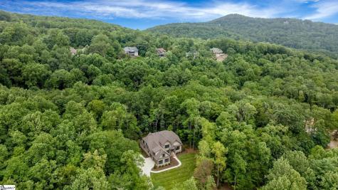 227 Snap Dragon Way Landrum SC 29356