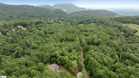 227 Snap Dragon Way Landrum SC 29356