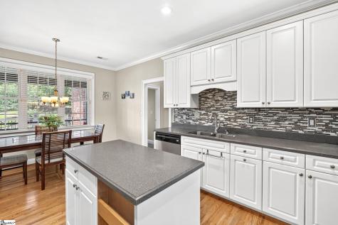 30 Belle Terre Court Greenville SC 29609