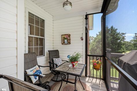 30 Belle Terre Court Greenville SC 29609