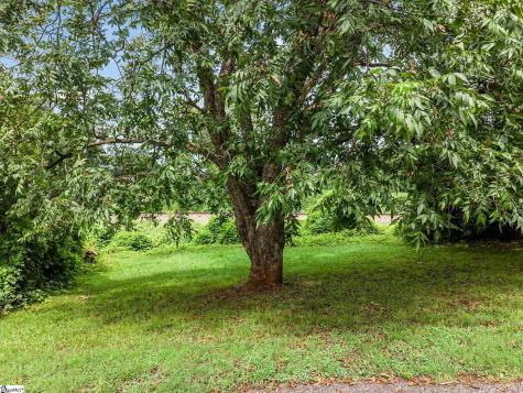 33 Lawrence Street Lyman SC 29365