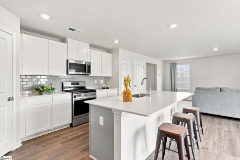 216 Wintersweet Way Greenville SC 29605
