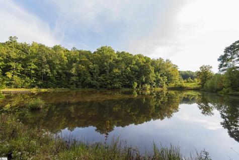 315, 317, 319 Gibson Road Landrum SC 29356