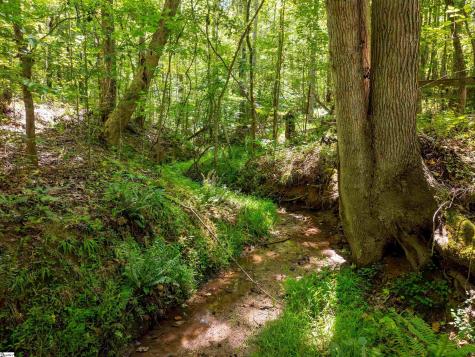 1955 E Georgia Road Woodruff SC 29388