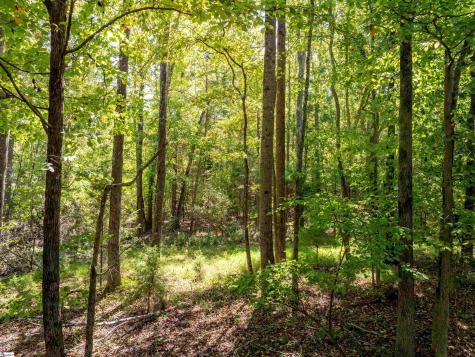 1955 E Georgia Road Woodruff SC 29388
