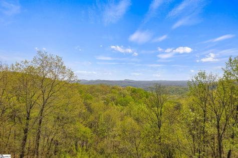 539 Upper Springs Road Pickens SC 29671