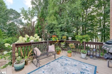 335 Hillcove Point Wellford SC 29385