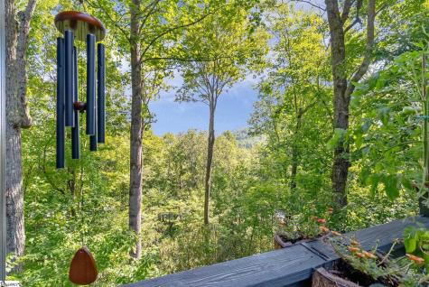 107 Spruce Lane Zirconia NC 28790